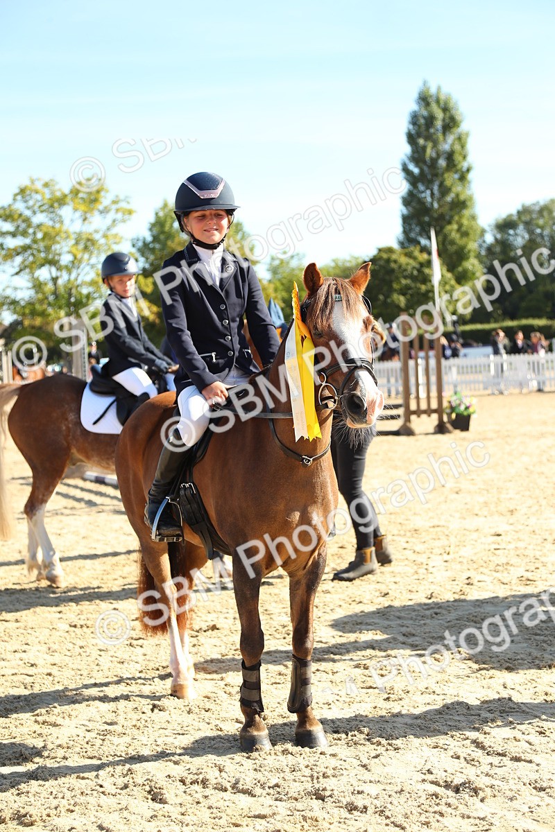 SBM_36033 - J5 - Junior Pony 50cm Championship