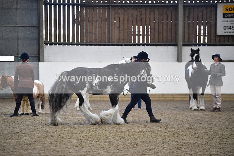 WJ5_4685 - Class 7 In hand coloured / odd coloured