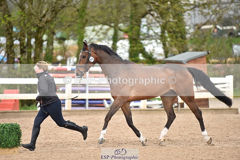 240417A-145452-00662 - 2pm to 3pm