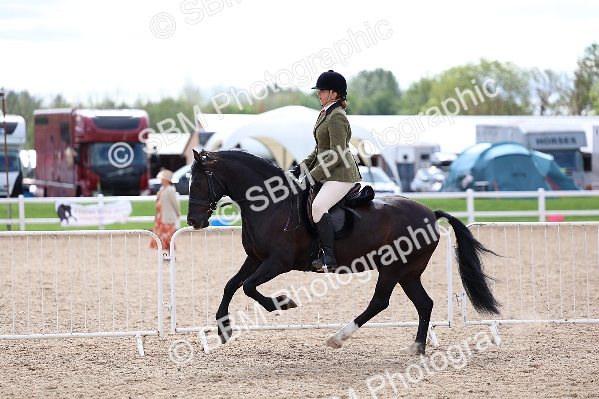 SBM_15802 - Class 314 - Family Horse - Pony