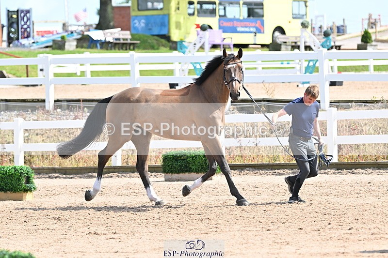 240717A-153532-02901 - Trot Up 3pm to 4pm