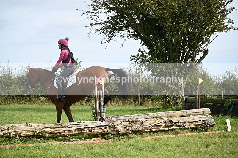 WJ6_8638 - Time 13:00 to 13:12