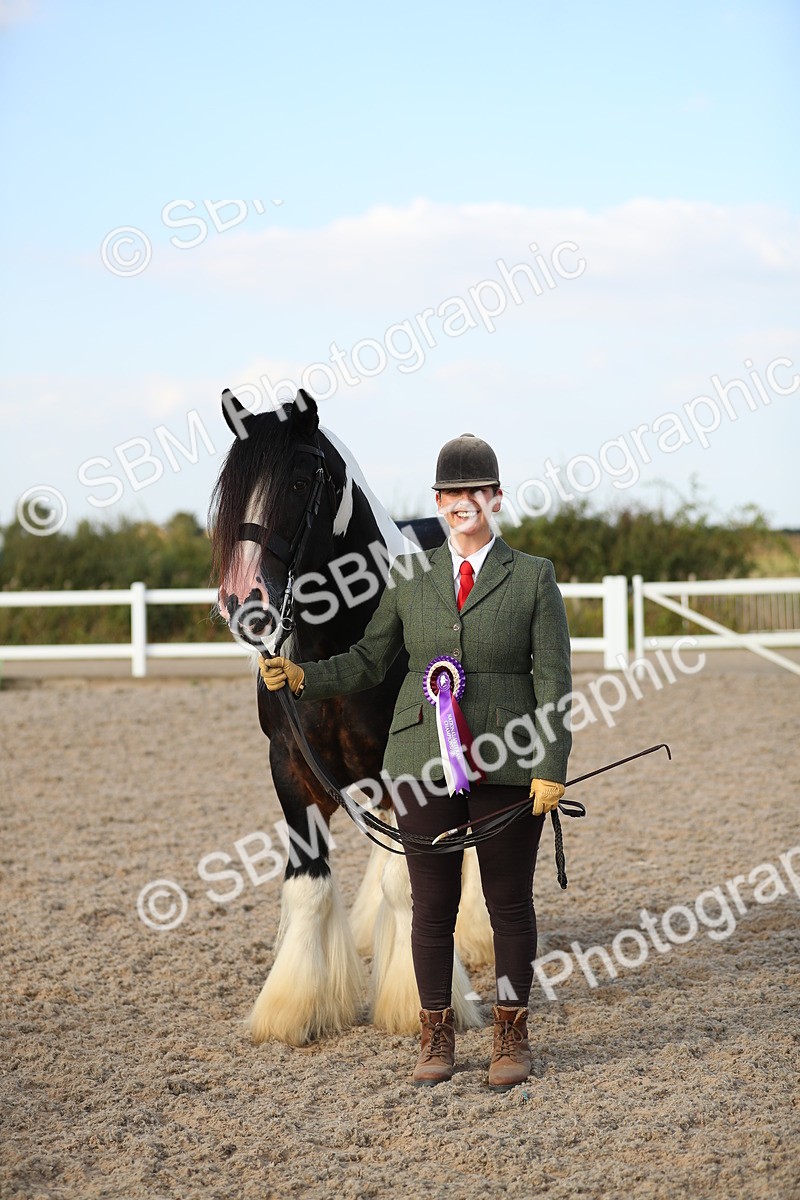 SBM_08709 - Class 28 - IH Veteran Horse
