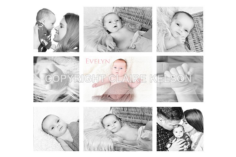 EVELYN-120 - Pregnancy and New Baby