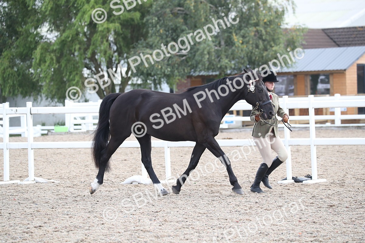 SBM_23089 - Class 605 - 2025 Area - IH Veteran