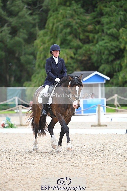 230813-140549-07676 - Cls 13 Medium Bronze 13.15 to End