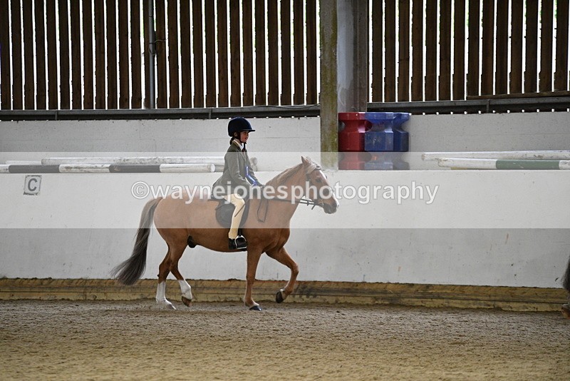 WJ5_7391 - Class 11 Ridden PC - RC Pony