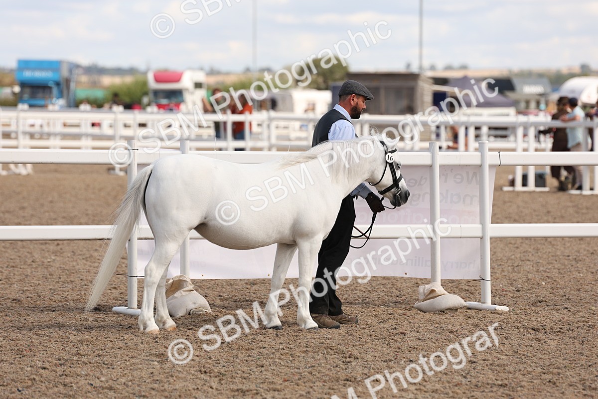 SBM_15027 - Class 209 - IH Veteran Pony
