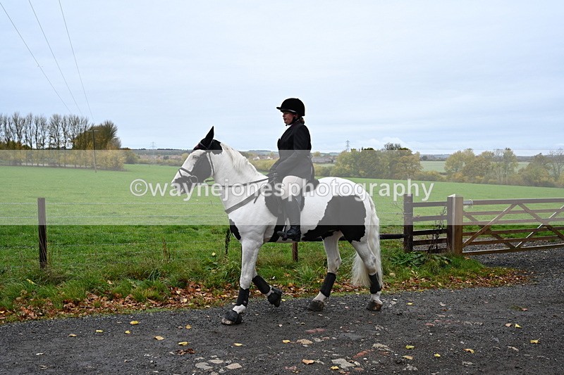 WJ6_9294 - Ride