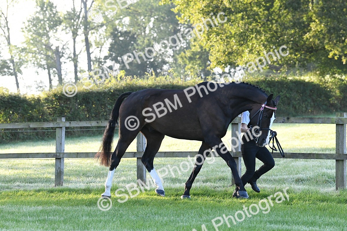 SBM_32582 - S15 - Condition & Turnout In Hand