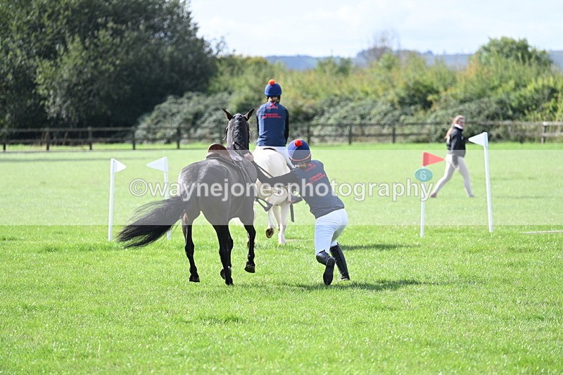 WJ7_8525 - 60cm Pairs