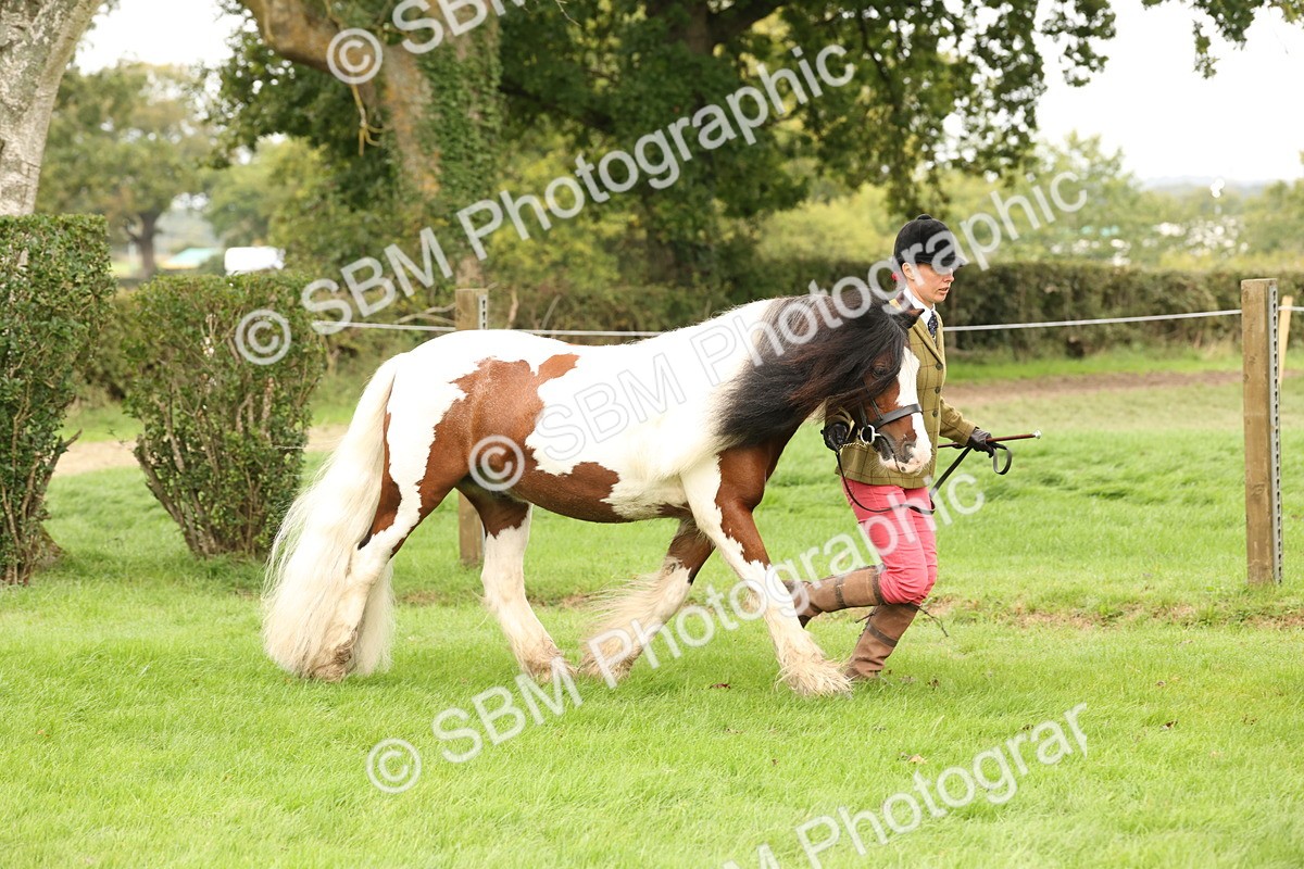 SBM_59271 - S57 - Traditional Cob In Hand