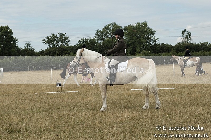 _PJP5751 - Dressage Classes BVRC Show 2018