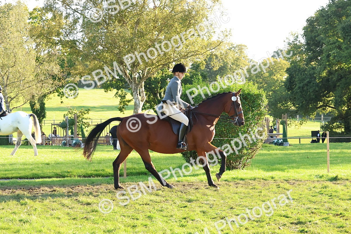 SBM_53005 - S29 - Mature Veteran Ridden