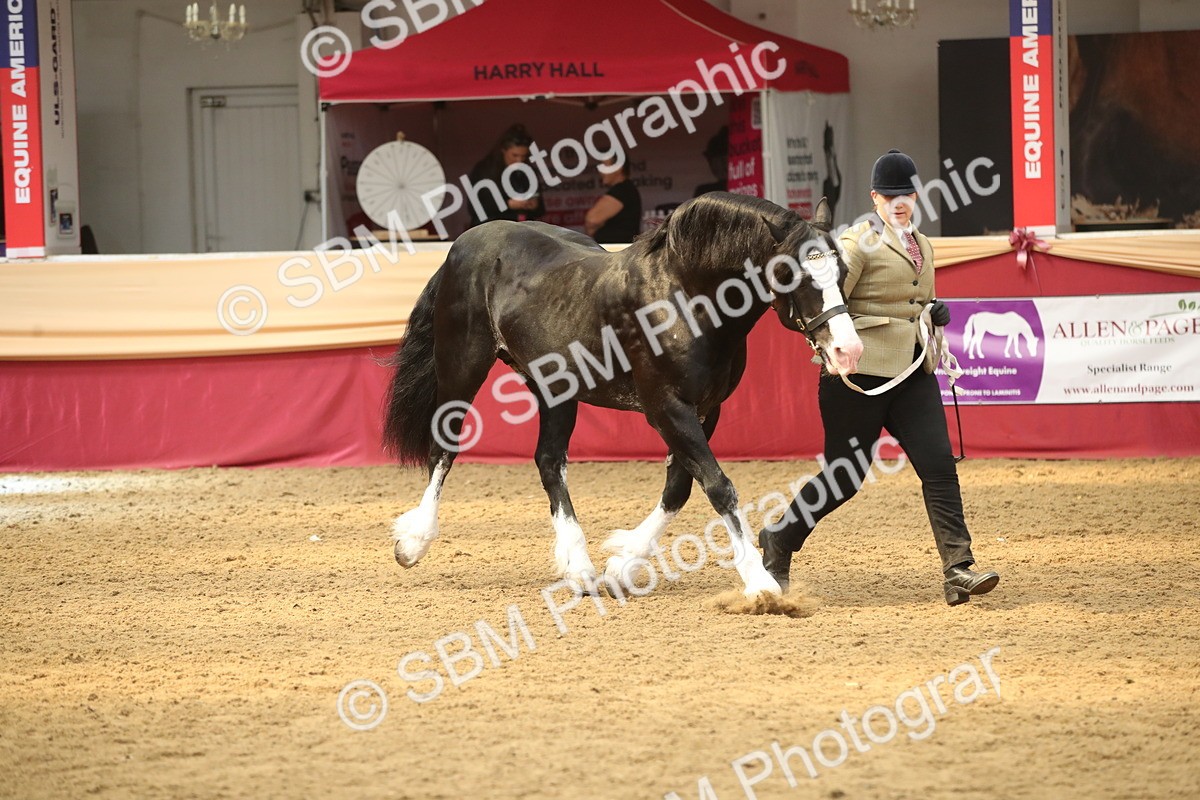 SBM_05360 - Class 8R - Regional IH Veteran
