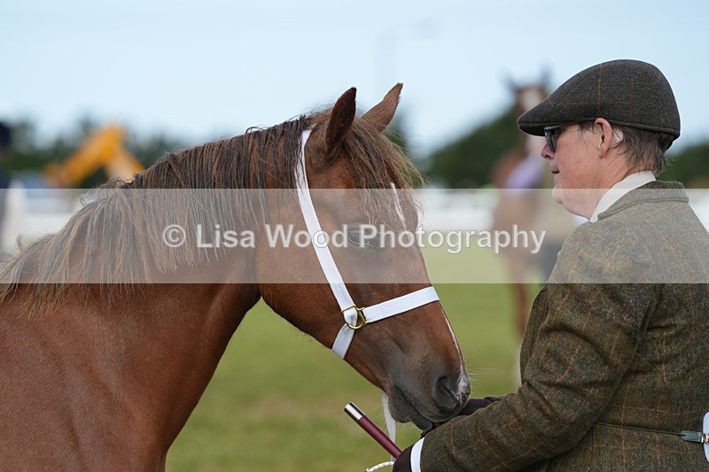 DSC04820 - Class 47: NPS M&M Yearling