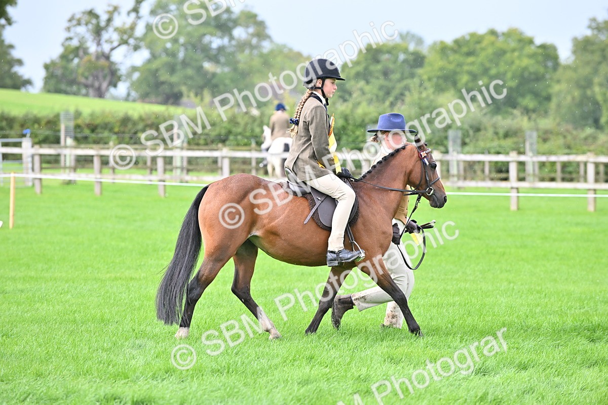SBM_38372 - S19 - Lead Rein Show & Show Hunter Pony