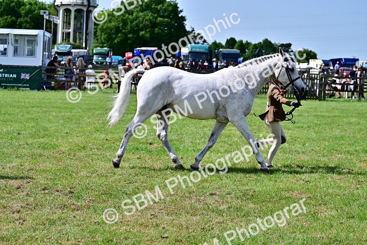 SBM_03887 - Class 58 - TSR  Ridden Veteran Amateur of the year