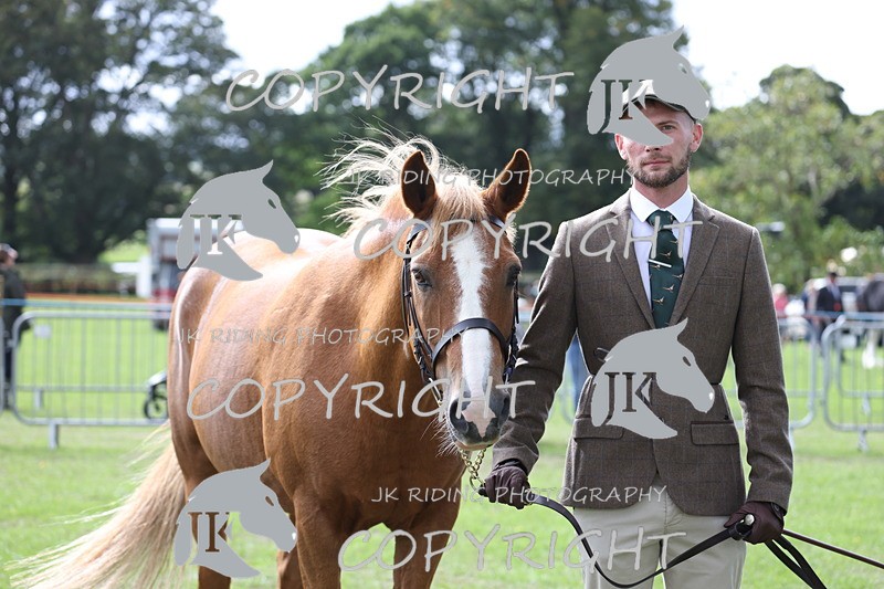 APP_2936 - Class 10a/b M&M in hand