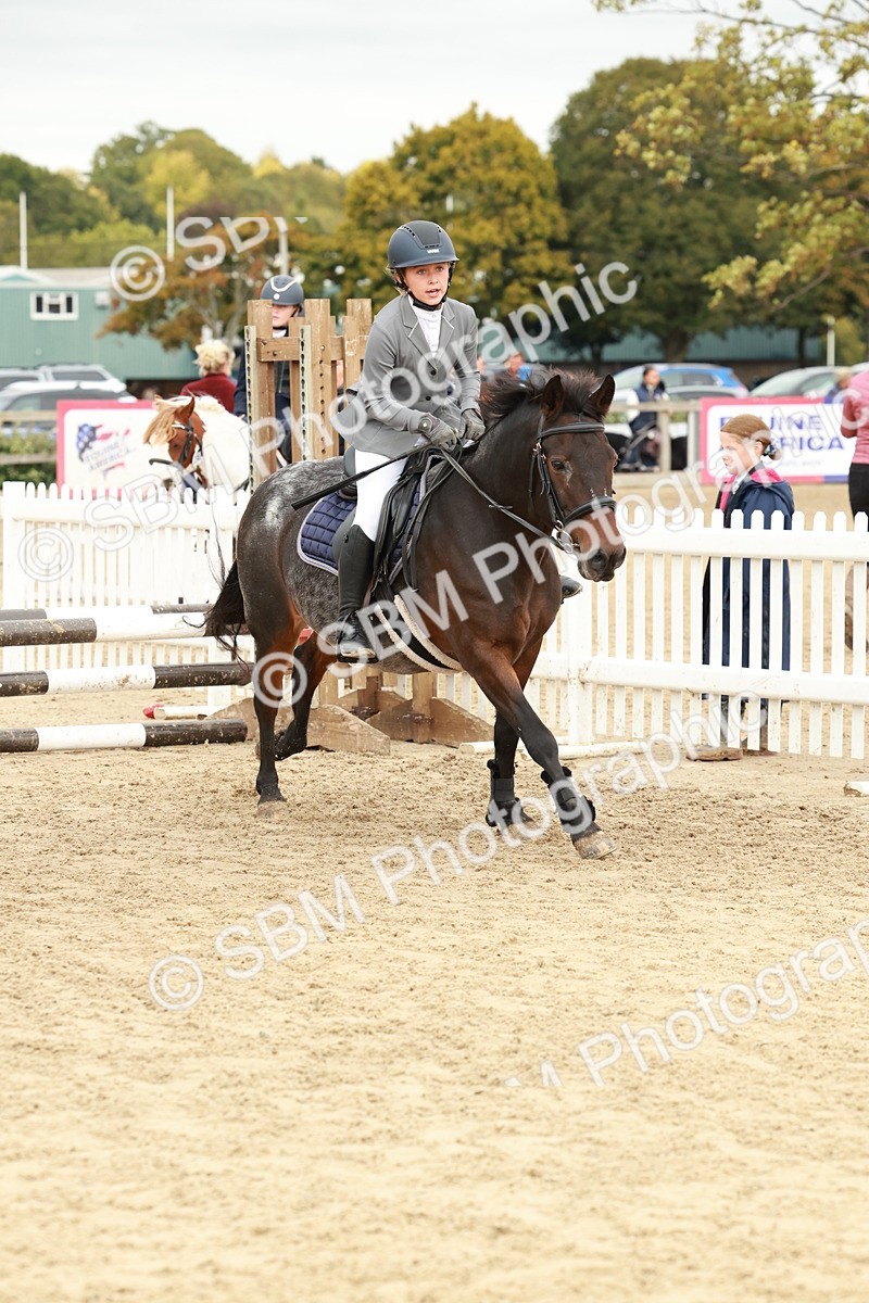 SBM_66964 - J13 - Junior Pony 60cm Championship