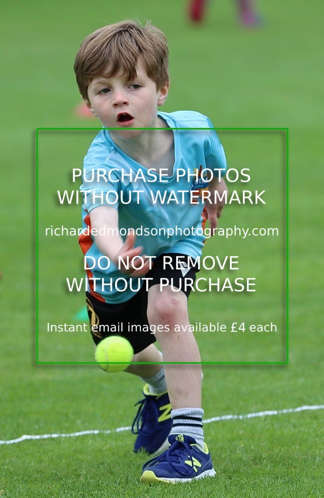 IMG_1284 - All Stars Cricket-Netherfield