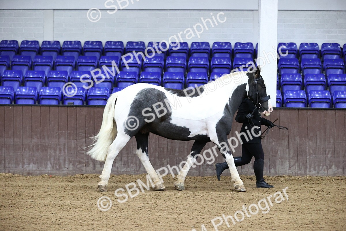SBM_5256 - Class 32 - In Hand Cob Type