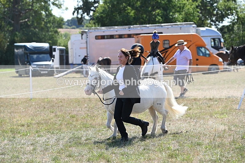 WJ6_7880 - Class 36 Lead Rein