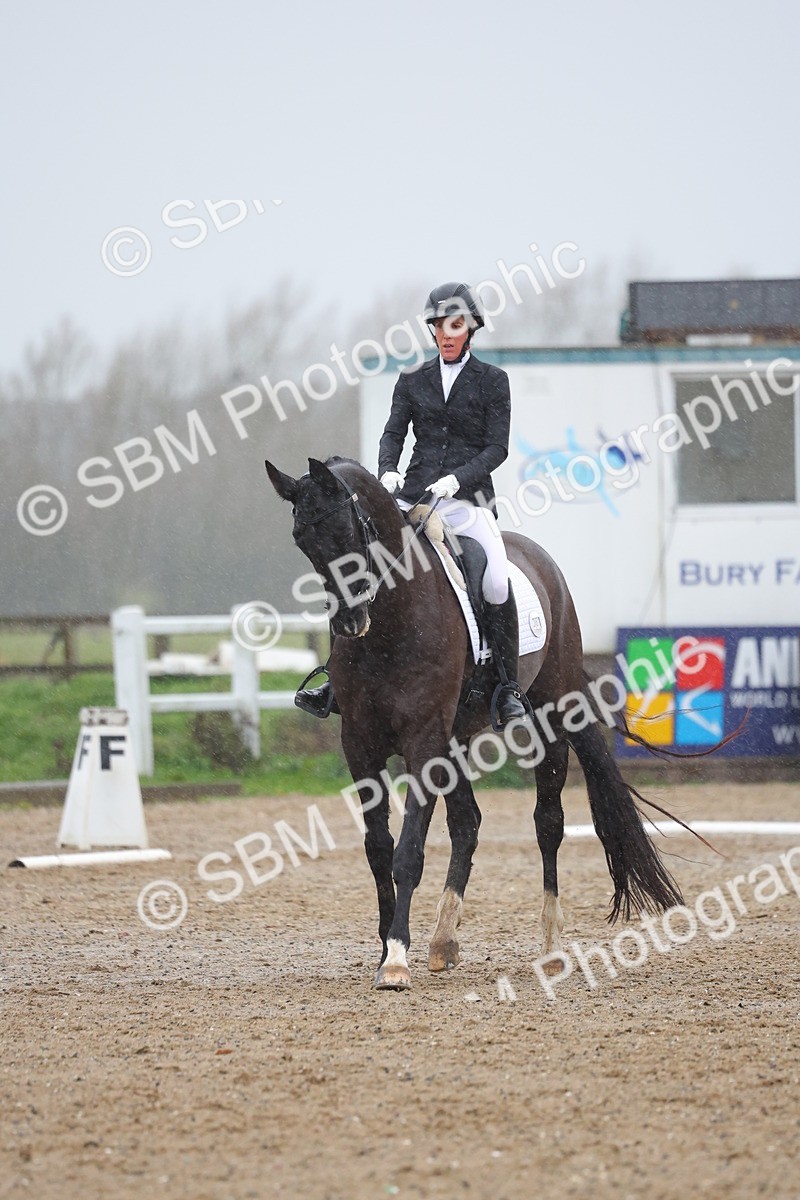 SBM_004294 - Class 12 - Medium 4