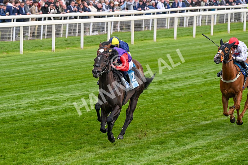 150526-Race 7-Portcullis-0405 - Race 7 5.15pm Darley EBF 'Confined' Novice Stakes