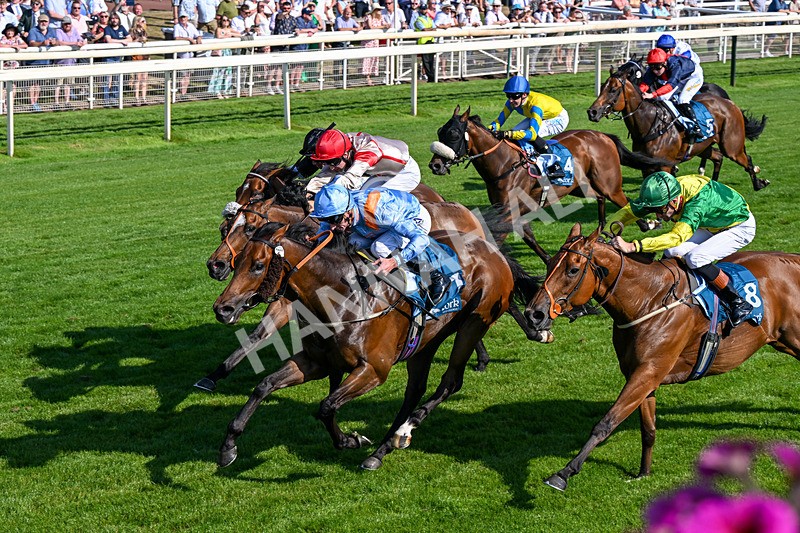 100726-Race 6-Ziggys Triton-0412 - Race 6 17.05pm William Hill Keep Your Raceday Positive Handicap