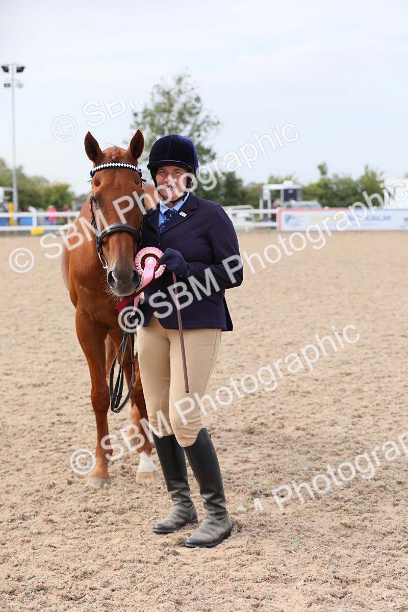SBM_15986 - Class 313 IH Retired Racehorse