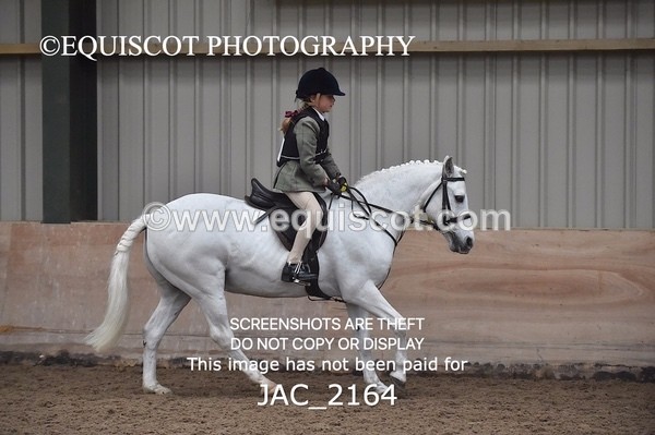 JAC_2164 - CLASS 1 Nursery Novice Working Hunter