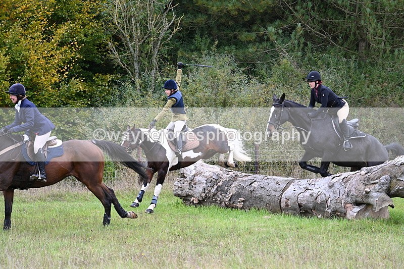 WJ7_3766 - Camera 1 Line 1