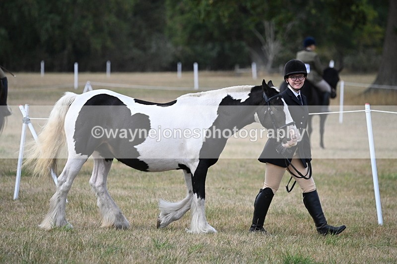 WJ6_6410 - Class 20 In-hand Cob