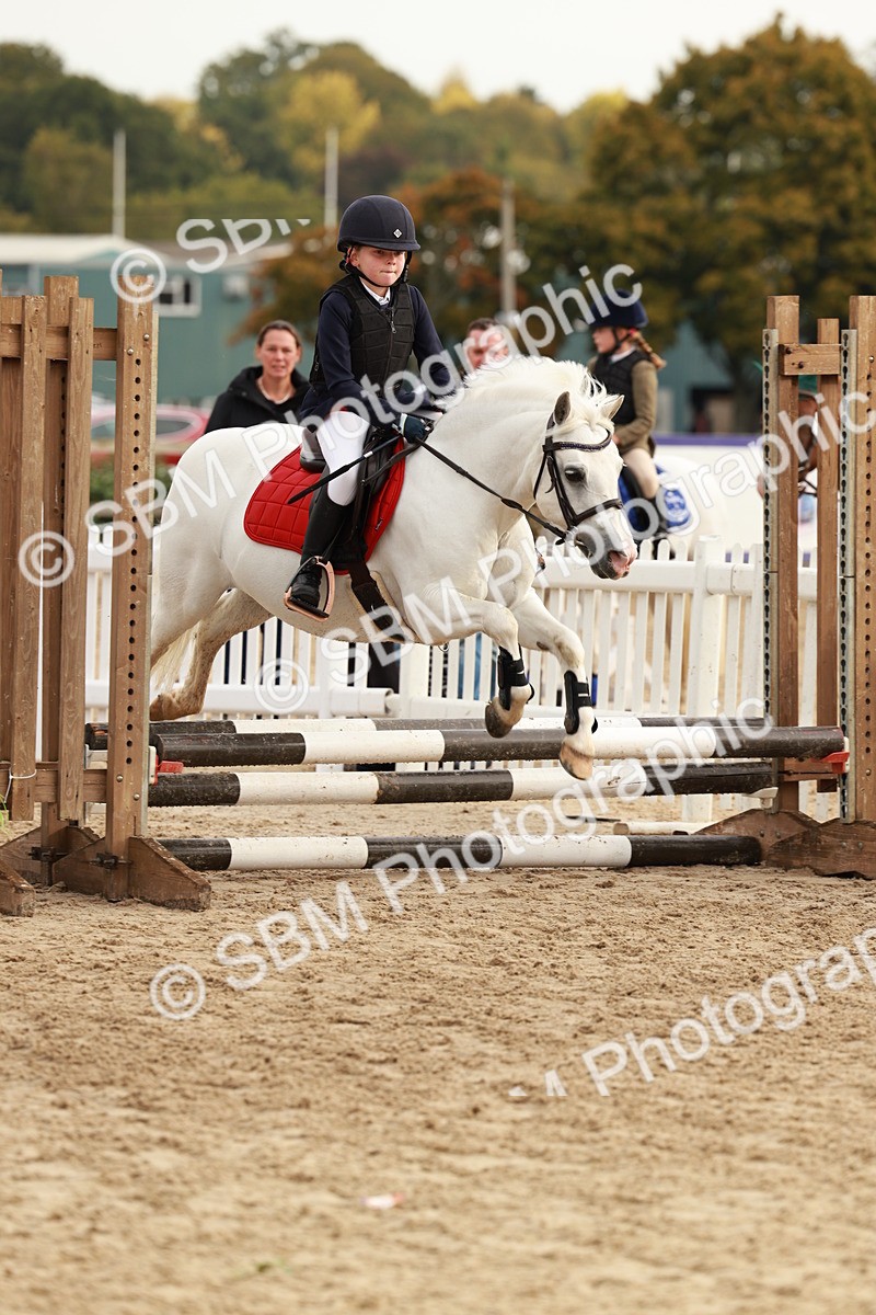 SBM_55771 - J11 - Junior Pony 50cm Championship