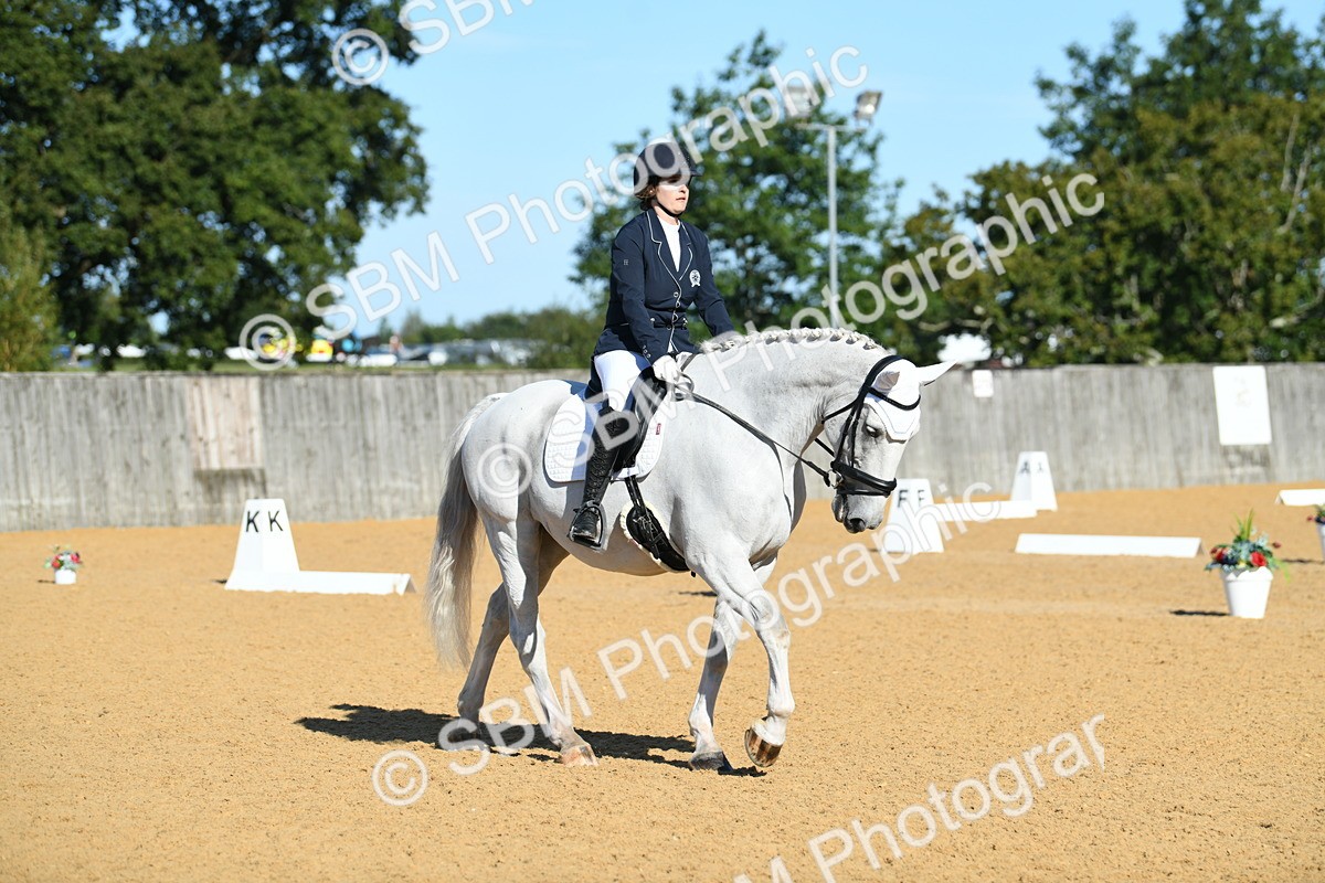 SBM_16262 - D4 - Small Tour Championship - Intro B