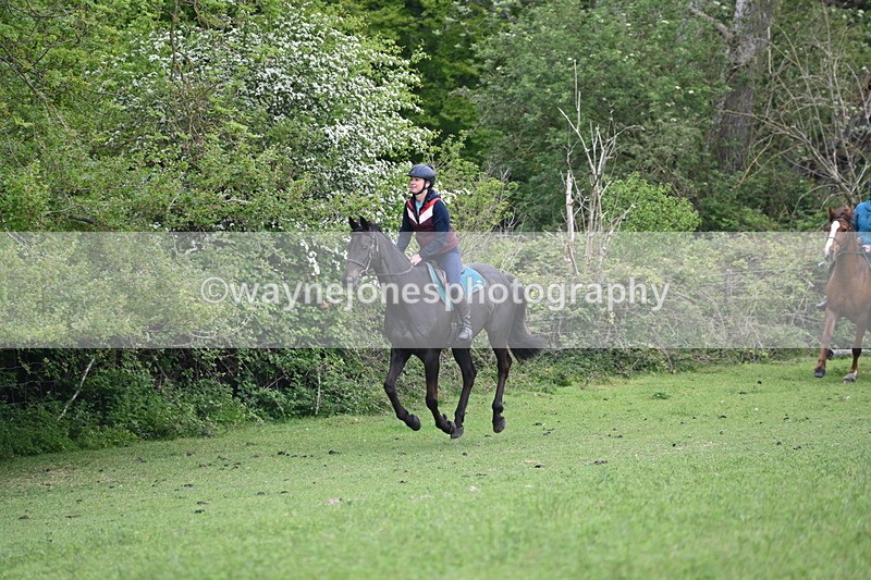 WJ6_2934 - A Camera