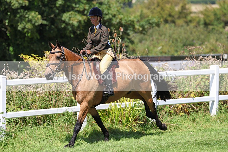 3E7A9007 - Class 6: Open Working Horse