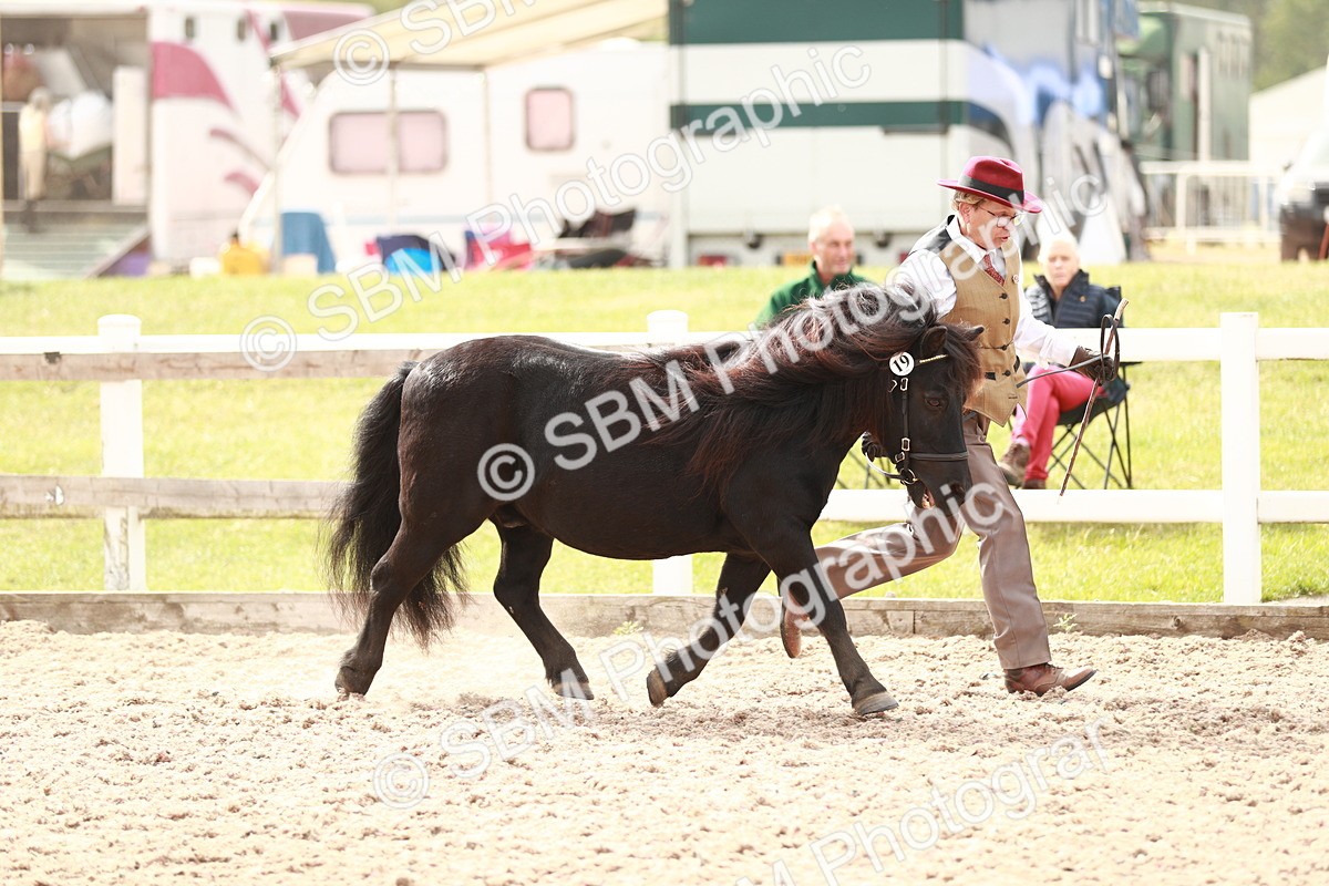 SBM_12425 - Class 207 IH M&M