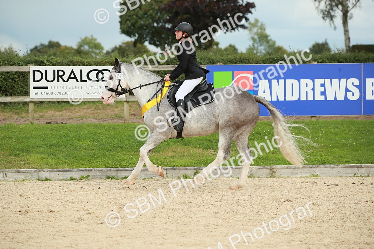 SBM_10295 - J31 Senior 75cm Championship