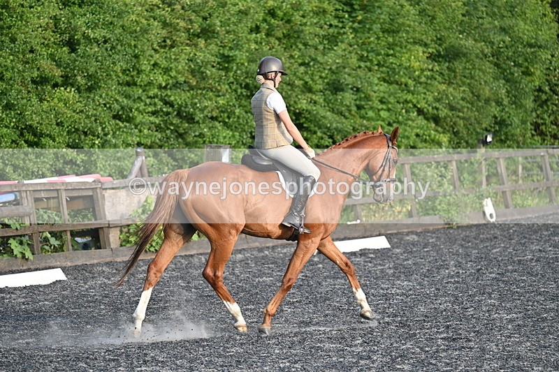 WJ7_0374 - Time 19:38 to 20:00