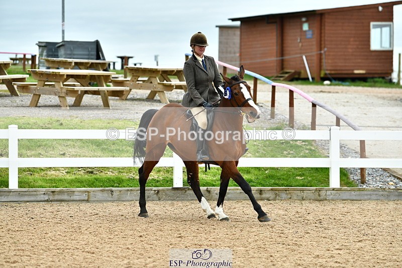 230416A-140124-04994 - Cls 60 Ridden Show Horse