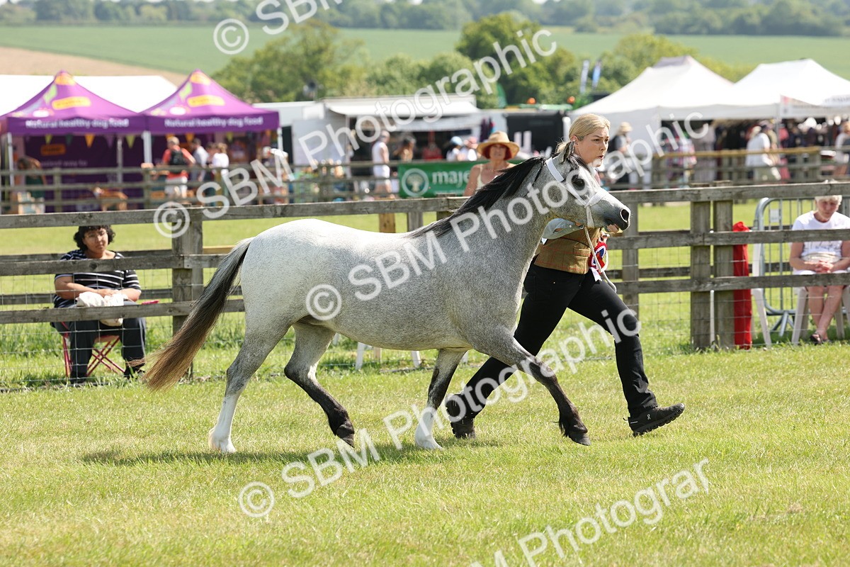 SBM_02382 - Class 6-13 - Mountatin and Moorland In Hand Welsh Breeds