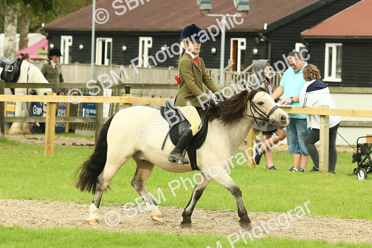 SBM_69947 - S59 - Mountain & Moorland Ridden Small Breeds