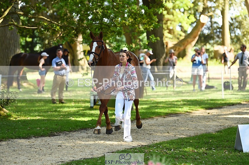 230524-161032-00732 - 252-LVS_MOVISTAR-Elizabeth_Barratt-WEDTrotUp+DR