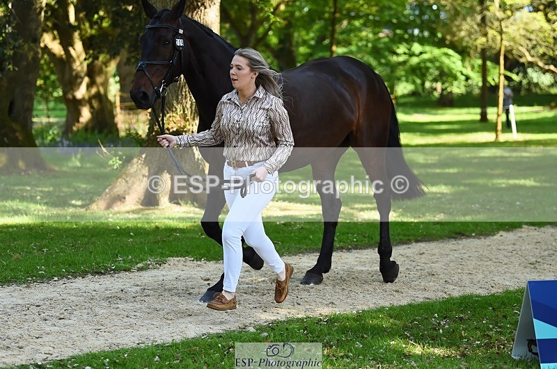 230524-160208-00634 - 209-MONBEG_EBONY-Molly_Fletcher-WEDTrotUp+DR