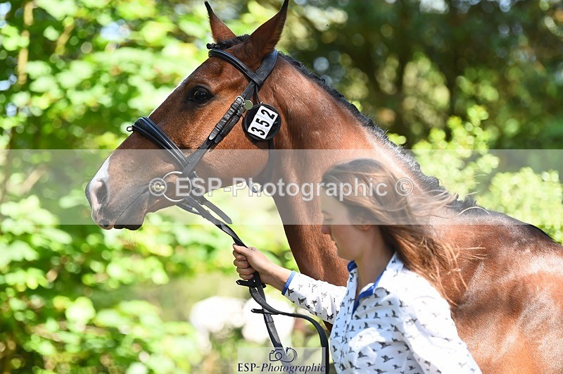 230524-153006-00312 - 352-TEQUILA_SUNRISE-Pippa_Taylor-WEDTrotUp+DR