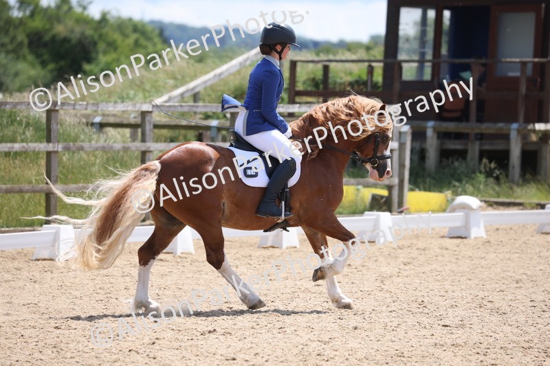 20250614-0760 - Class 4 - Novice 2