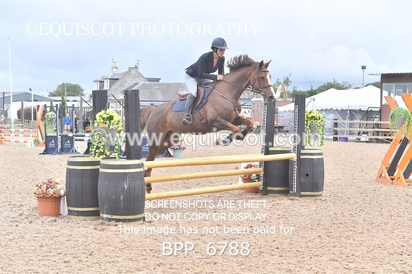 BPP_6788 - CLASS 1 Club/ Unaffiliated 80cms Open