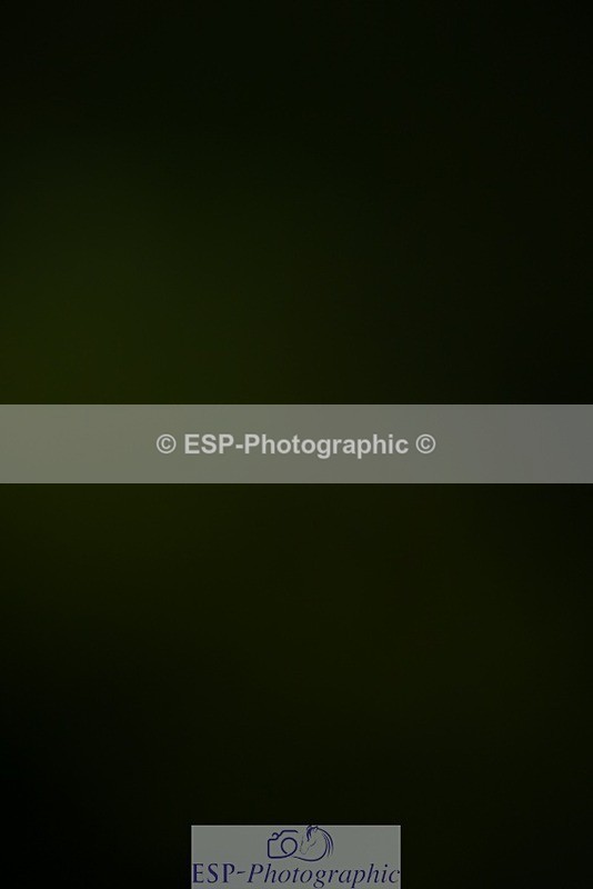 240526-134458-23069 - 443-FIGARO_DES_PREMICES-Alexander_Peternell